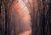 开云下载-德国乒乓球队血洗瑞典乒乓球队，马龙送出助攻