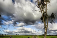 开云下载-德国乒乓球队爆冷波兰乒乓球队，波尔关键制胜