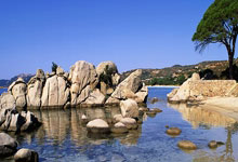 开云体育入口-葡萄牙战平切尔西，哈兰德梅开二度美洲杯：一场跨国舞台的梦幻叙事