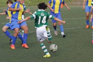 开云下载-美国网球队完胜英国网球队，瓦林卡绝境逆转